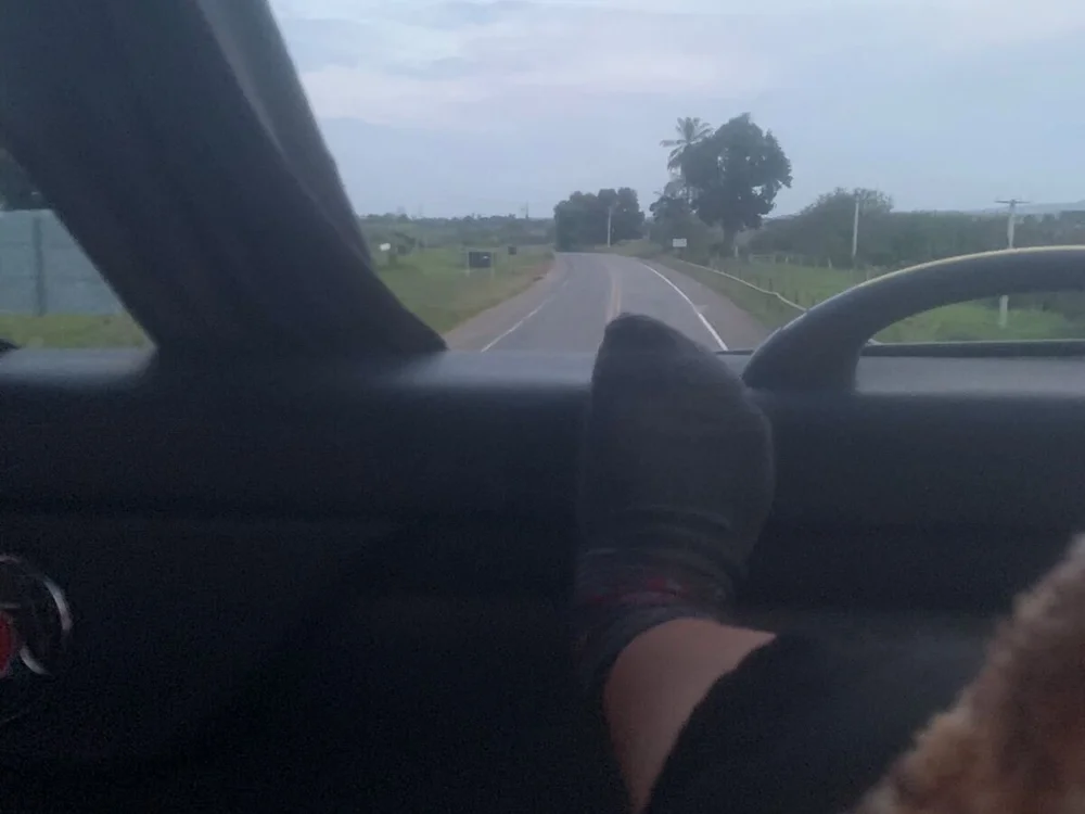 Zacfox2 offline XXX-chatje