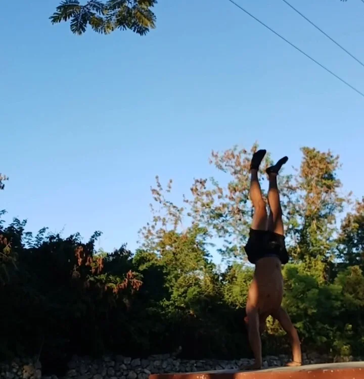 alphasex2's Offline XXX Chat