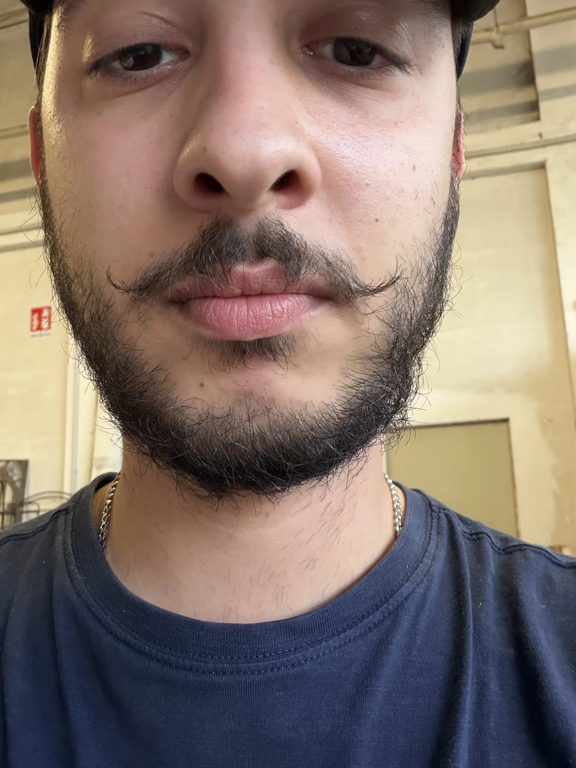 porcello1230