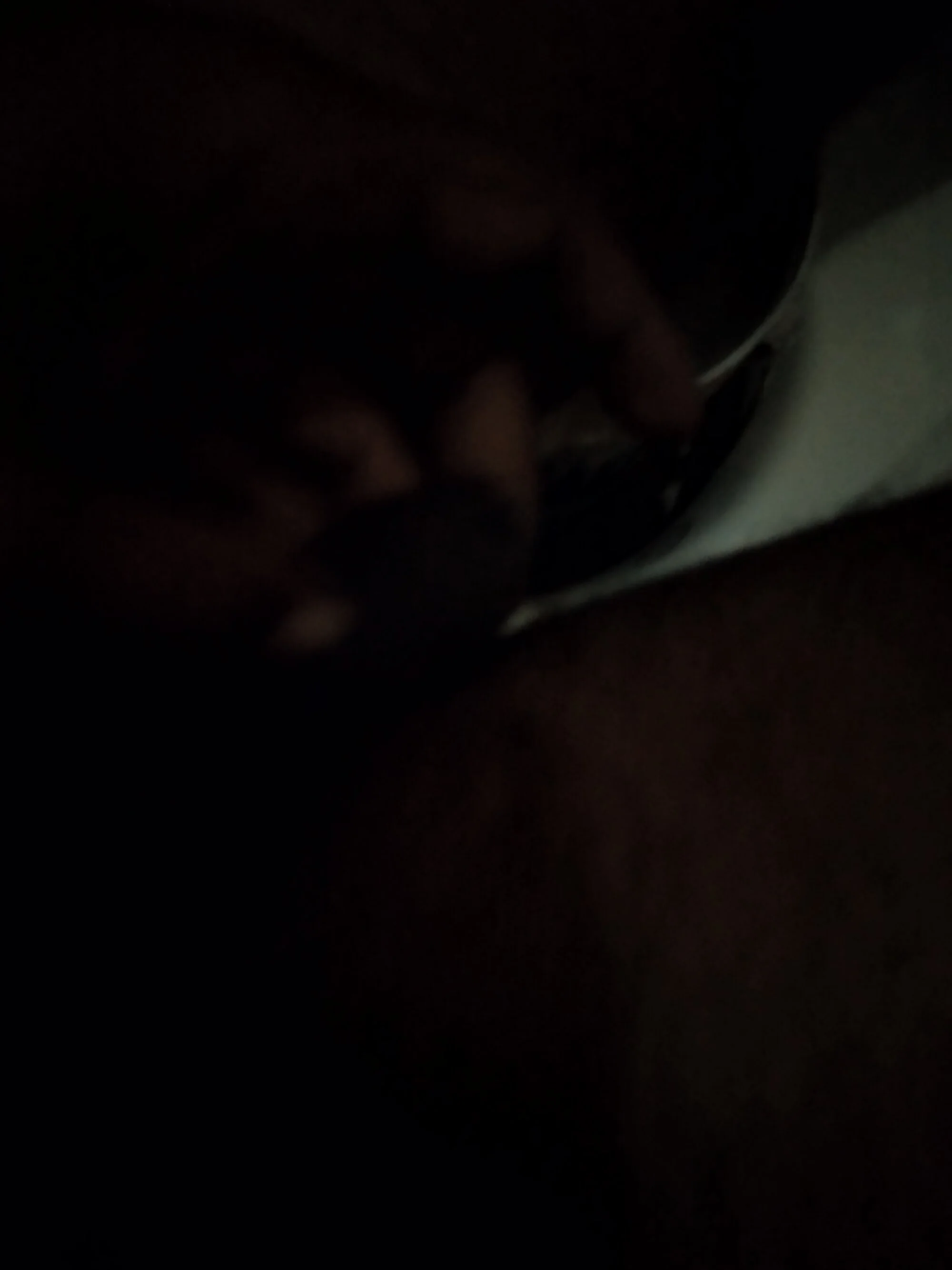 apnasare live webcam