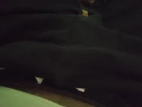 Модель Tiny_dick_guy