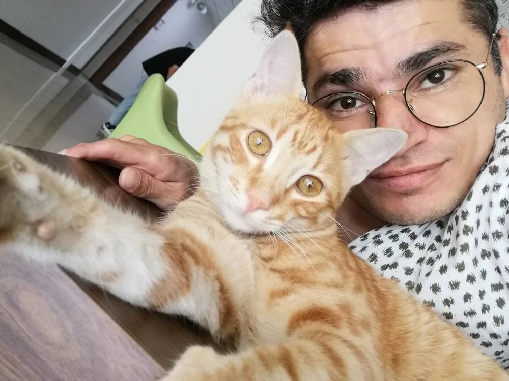 Bahtiyar6534 offline chatrum