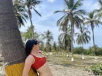 Модель livgomez