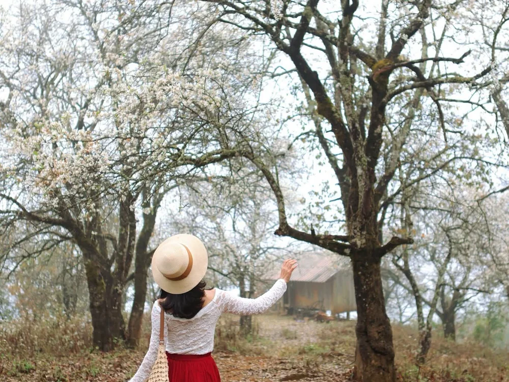 Best_love66 Chat XXX offline