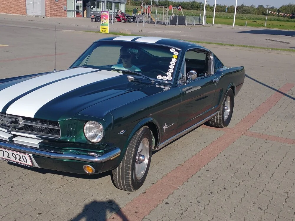 Offline XXX chat WardedStand