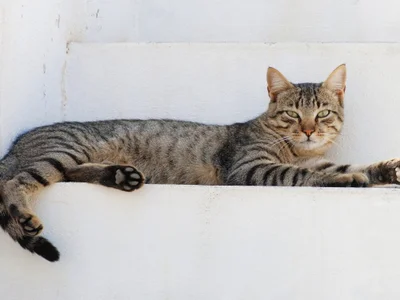 myloveforyouu profile