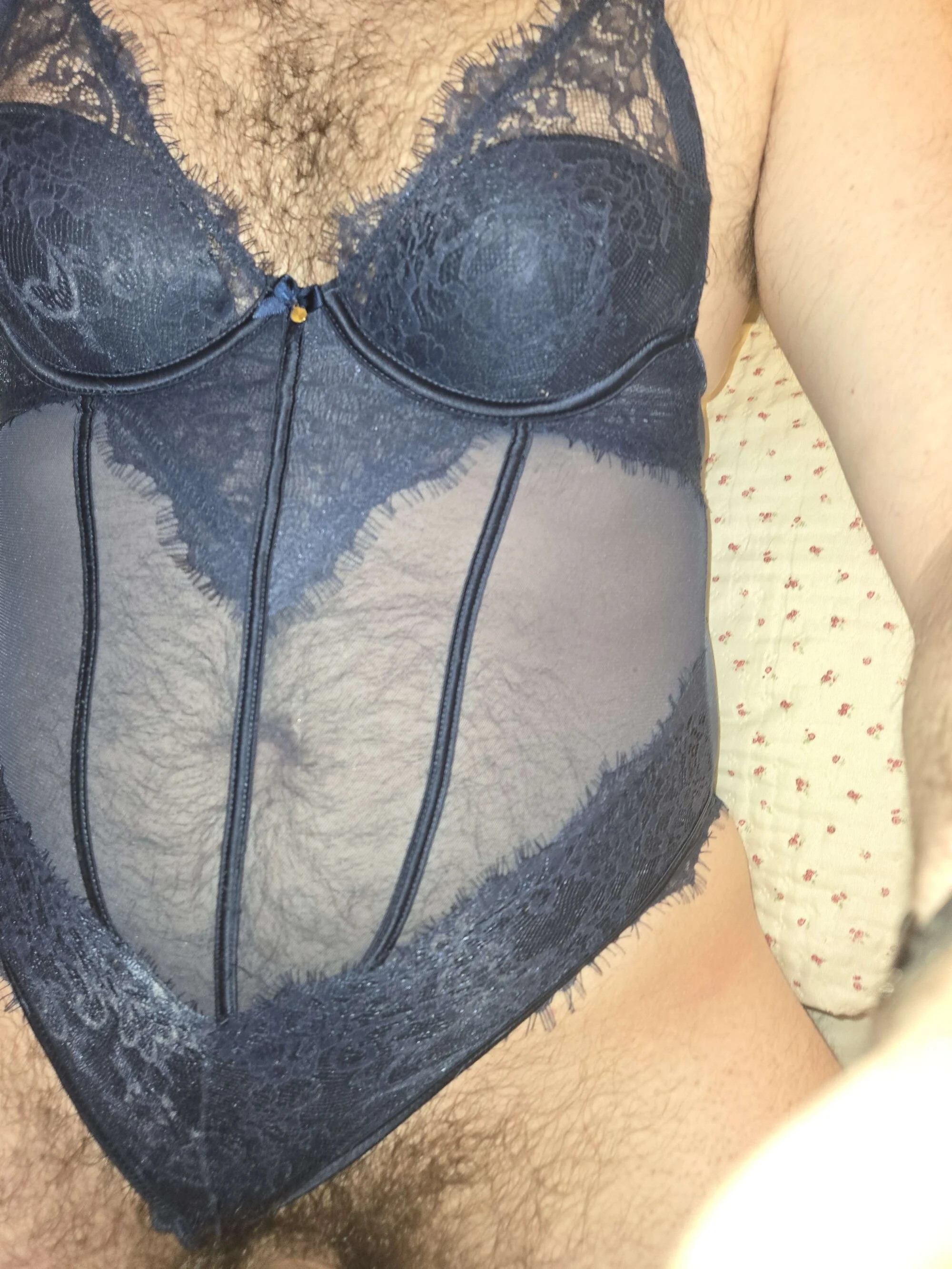 Laceyvipfan