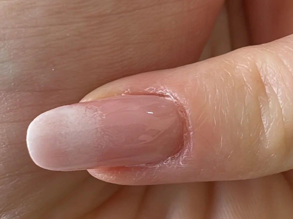 Pilastrocaldo91 Chat XXX offline