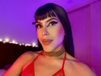 Модель HARLEQUlN