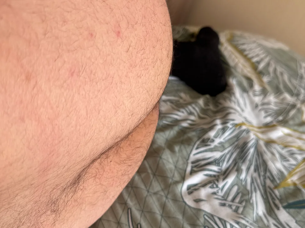 Chat +18 off-line de heterocurieux_