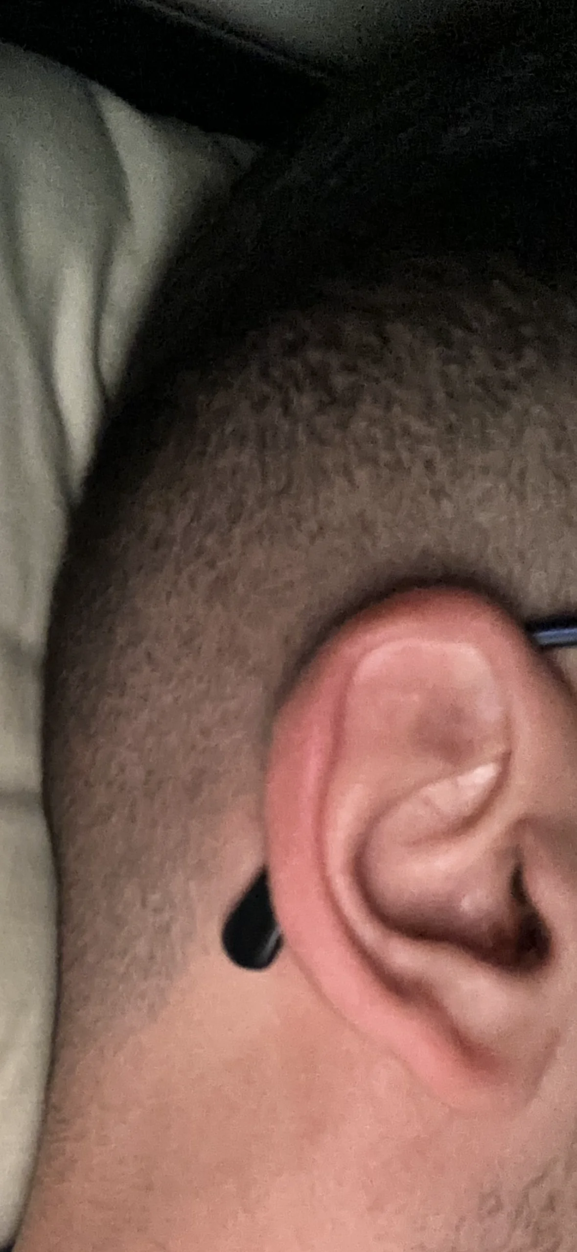 babyhorny0404