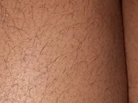 seeedy