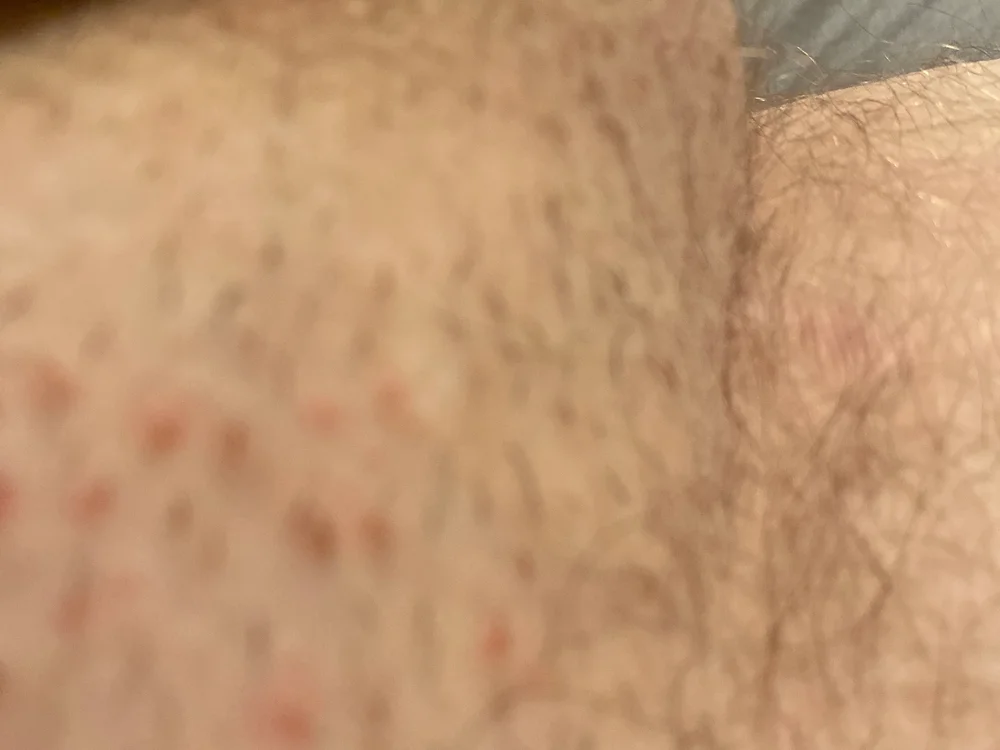 Mepsiii Offline XXX Chat