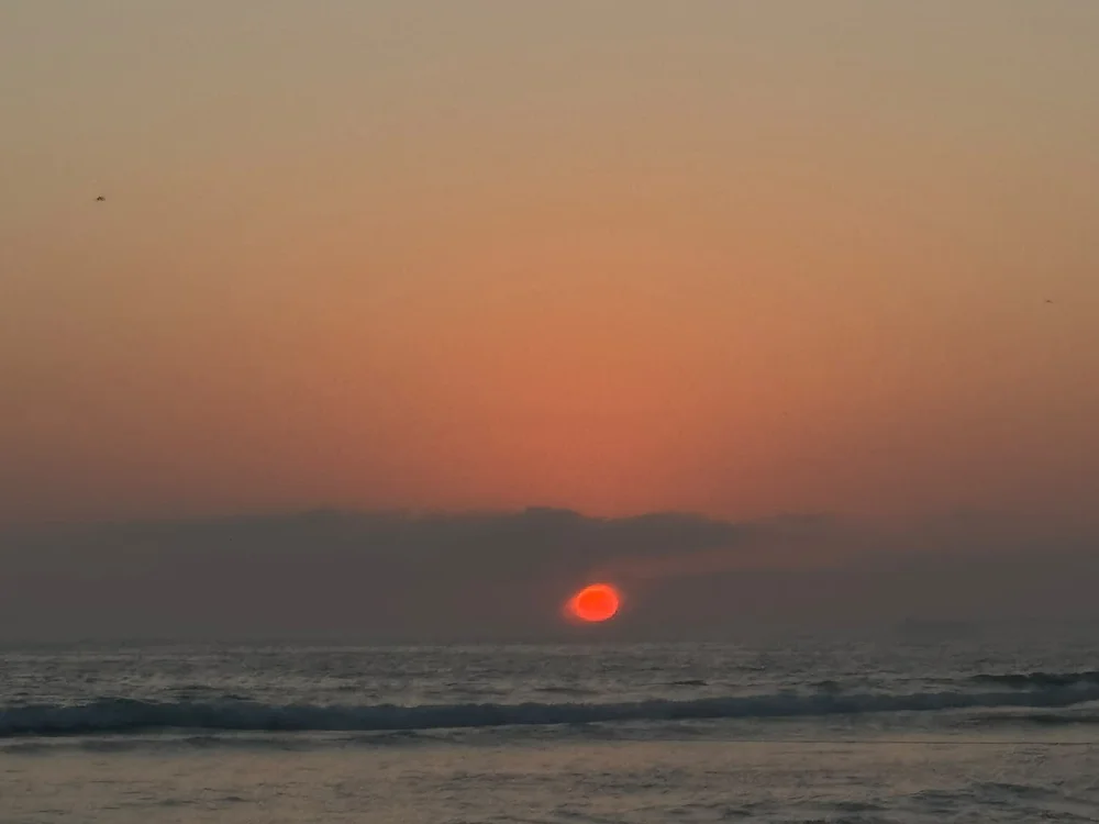Joaozinho691 cover photo