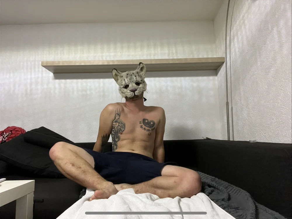 cetacatxx offline chatrum