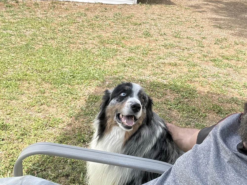 mysterious_cowboy offline XXX-chat