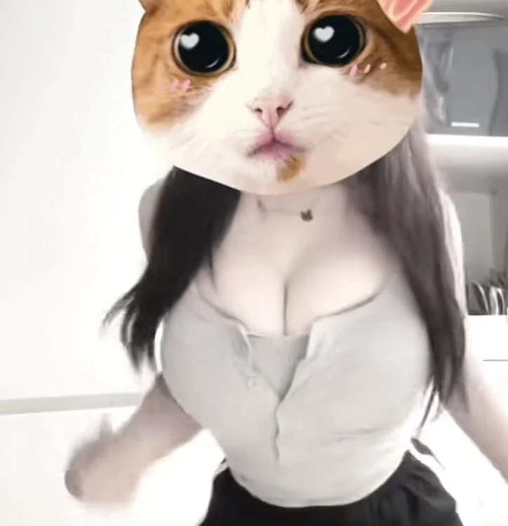 Hanggg11 offline chatrum