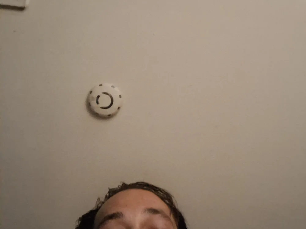 femboy__nInA Offline XXX-Chat