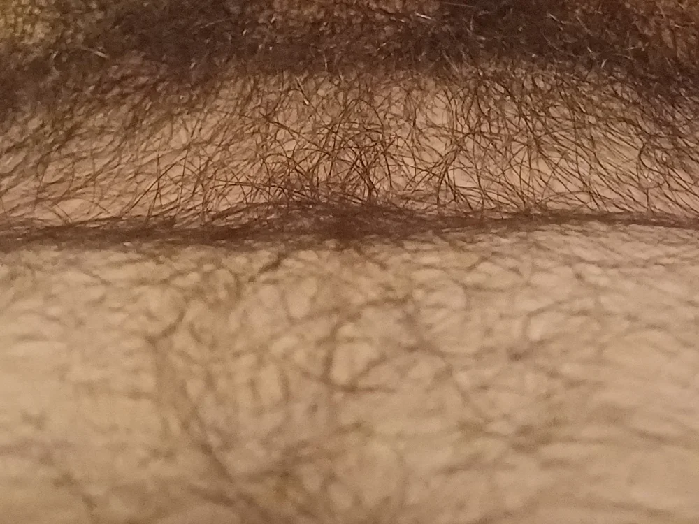 Offline XXX chat hairybunnies