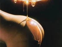 Chatroom XXX en direct de I_Your_Muse_