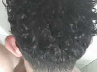 sepikles profile