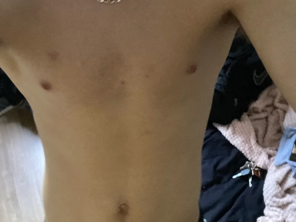 tichyrider cam model