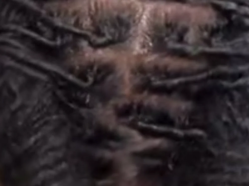 BleuStixk – Offline XXX chat