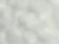 kirbeed