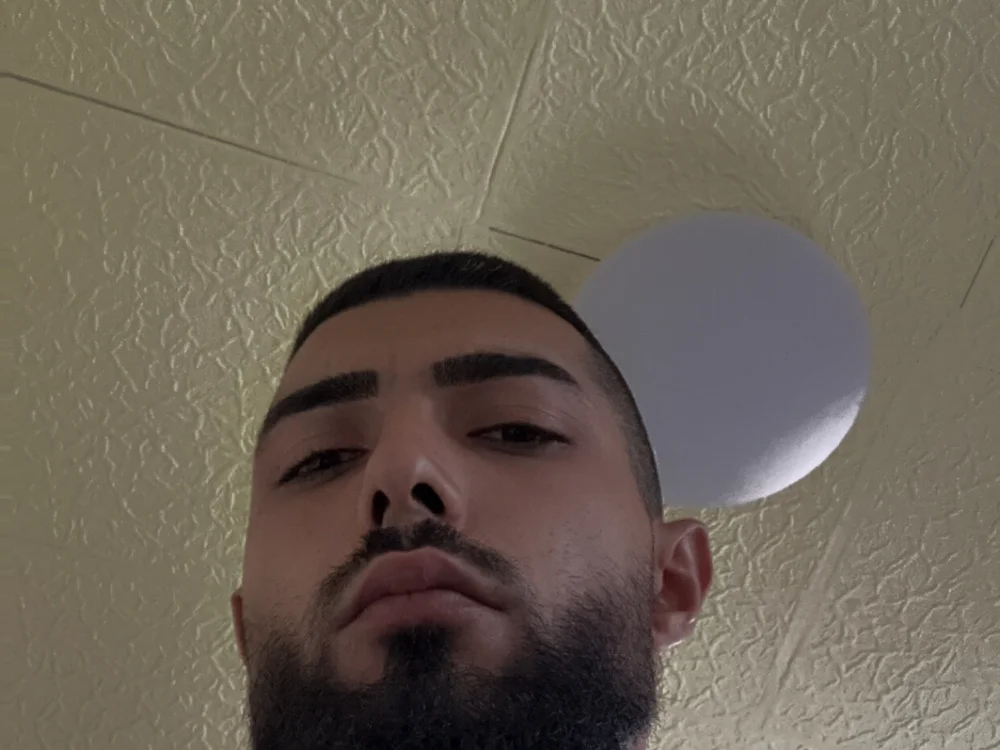 LupuBrunet's Offline Chat Room