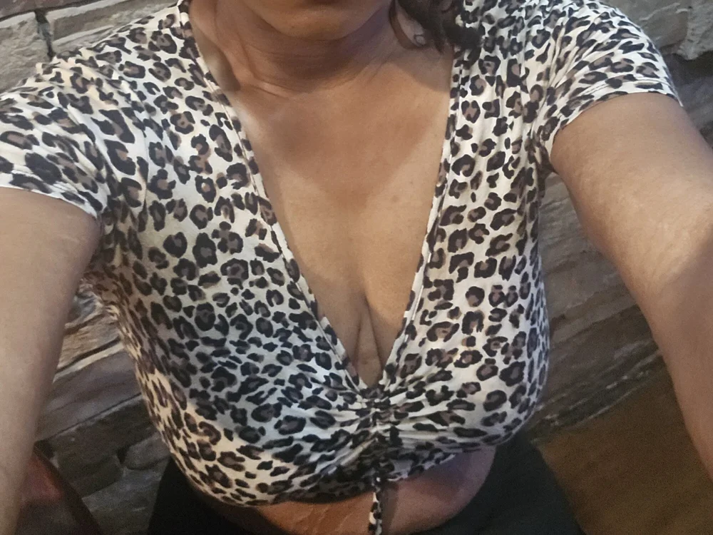shestaywet offline chatrum