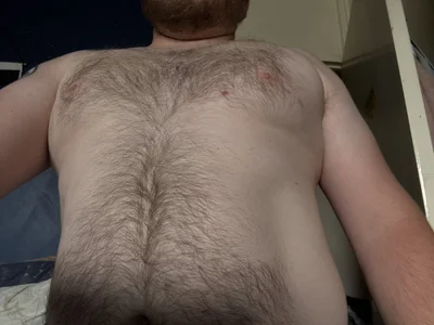 AverageBloke93 profile