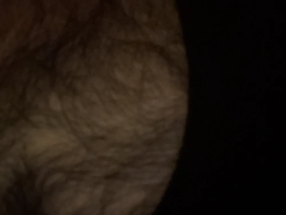 cumguy05 Chat XXX offline