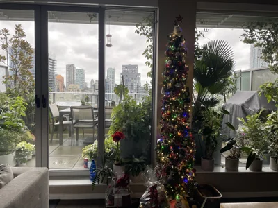 FoxxMiky7447 profile