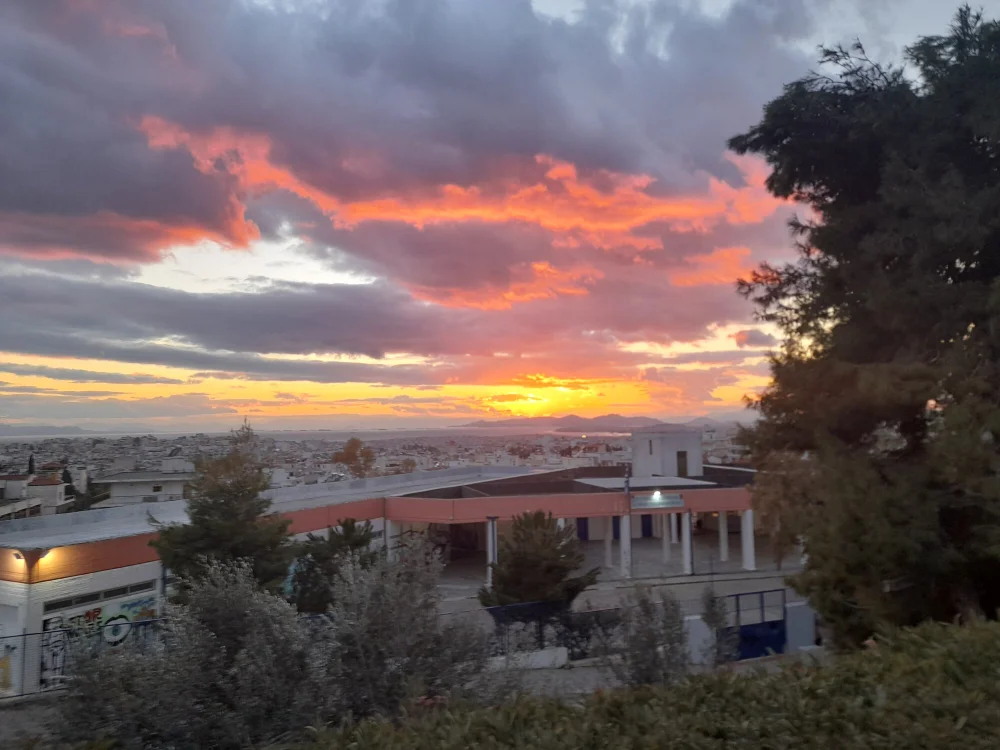 bimalebrother cam model