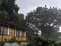 pajas03