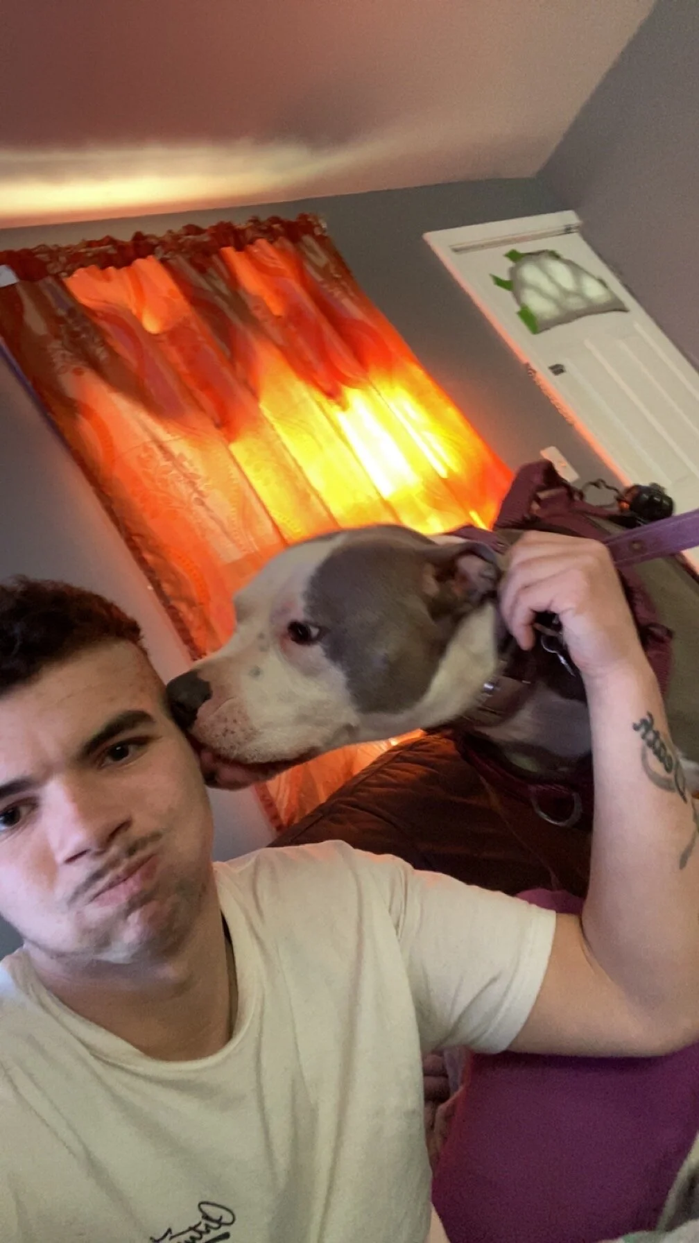 fadedhaze420 live webcam