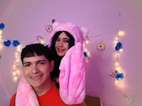 Модель Thetoxicouple