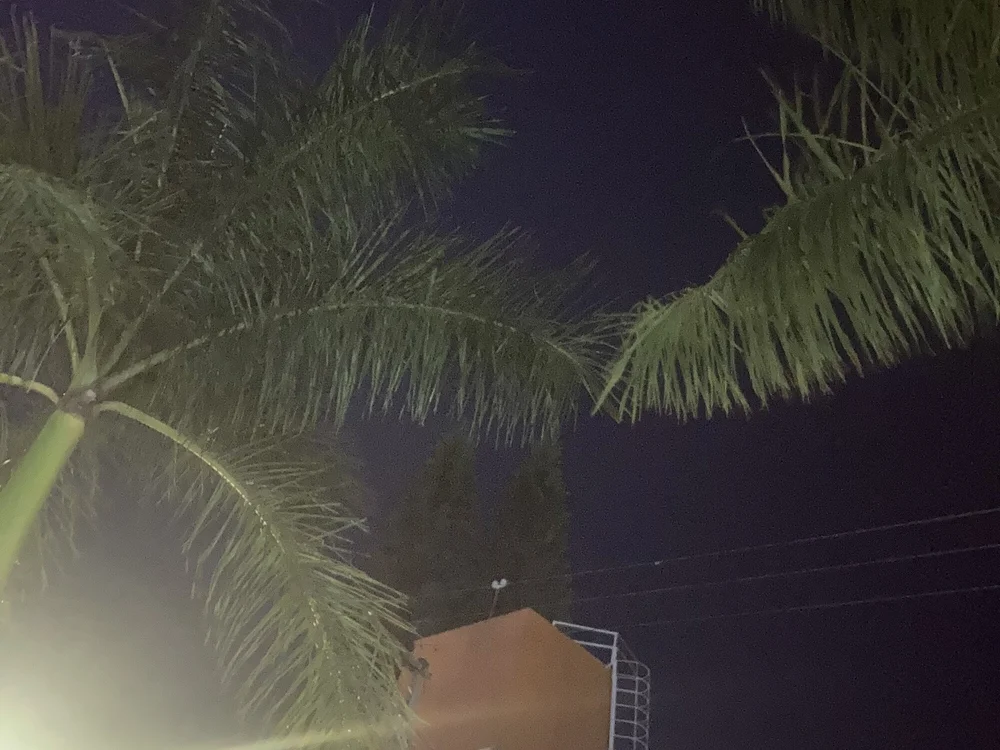 DonLuansXS' Offline XXX Chat