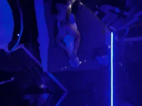 RoseCat cover photo