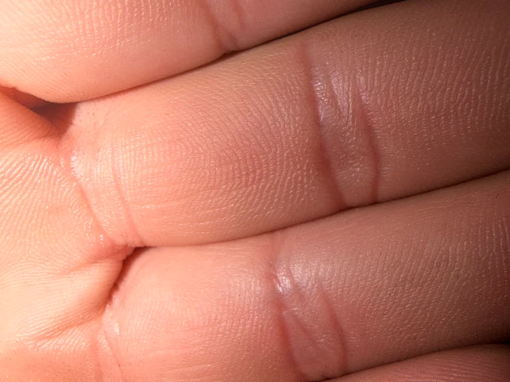 Chat +18 off-line de carlooos12