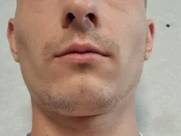 Модель Boddy1301