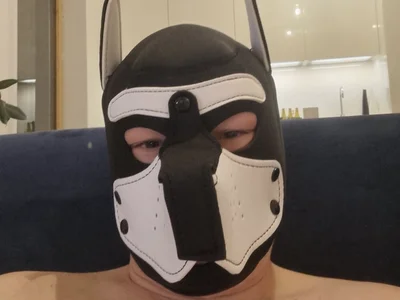 Zko-manager Trans Sextoys Nude Webcam