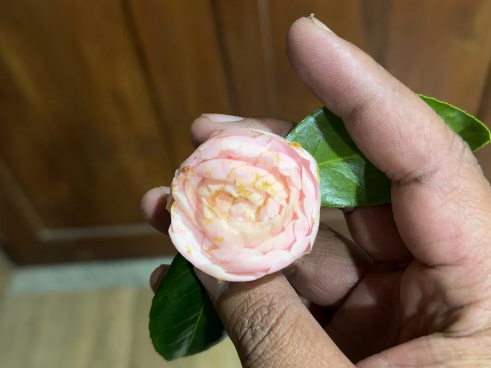 cockydreams 離線 XXX 聊天