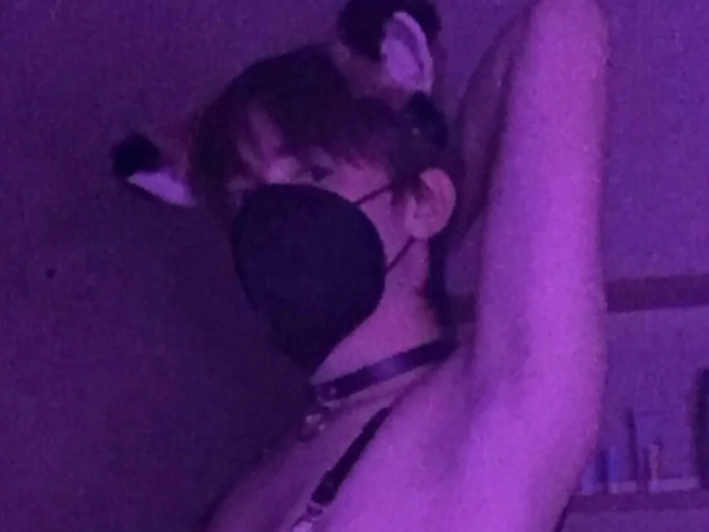 Tiny_PocketFox Chat XXX Ngoại tuyến