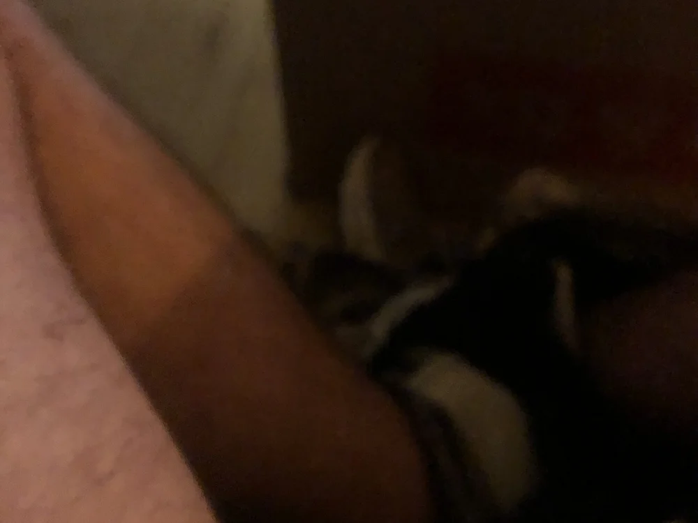 دردشة Tryllestaven1310 الجنسية دون اتصال