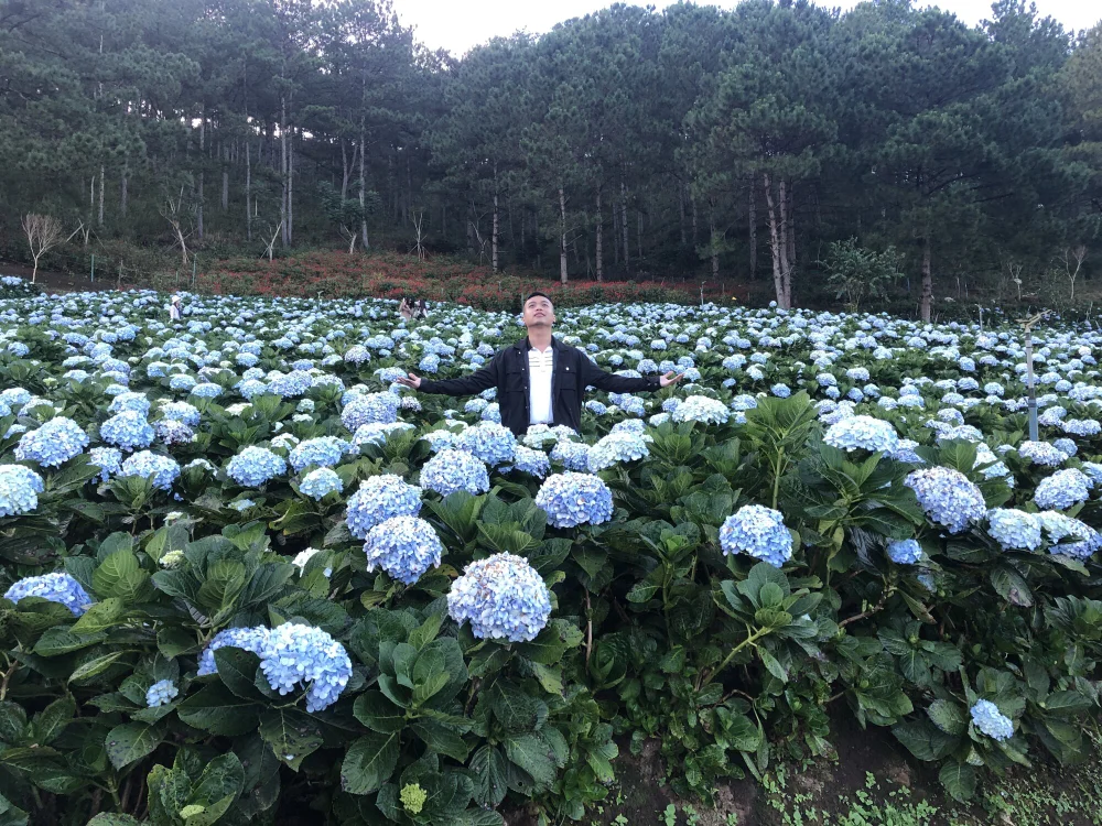 Gockhuatsg Chat XXX Ngoại tuyến