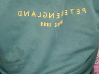 Модель Veins_Dick