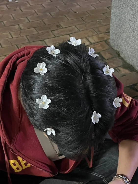 Bulgogibg