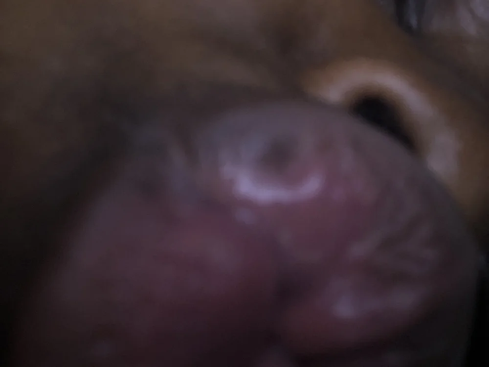 big_titsja's Offline Chat Room