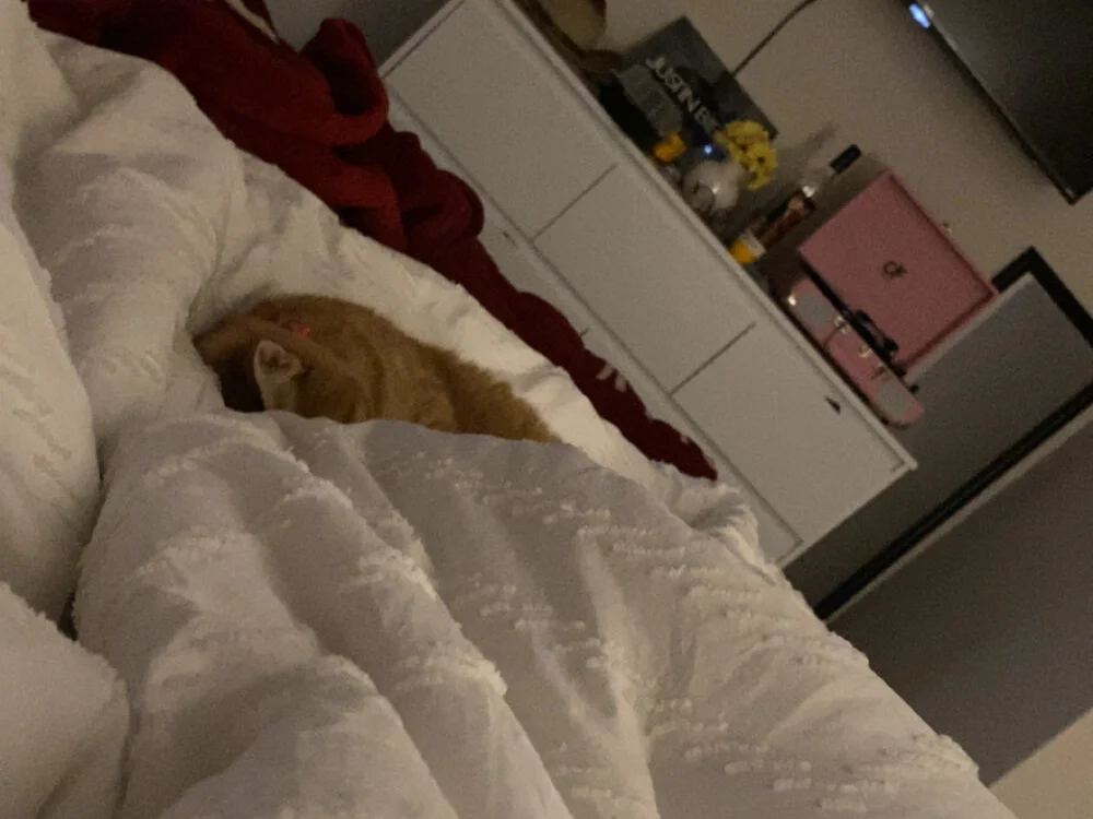 UnknownVixen's Offline XXX Chat